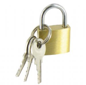 Padlock 20mm (click for enlarged image)